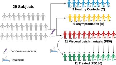 Insight Into the Long Noncoding RNA and mRNA Coexpression Profile in the Human Blood Transcriptome Upon Leishmania infantum Infection